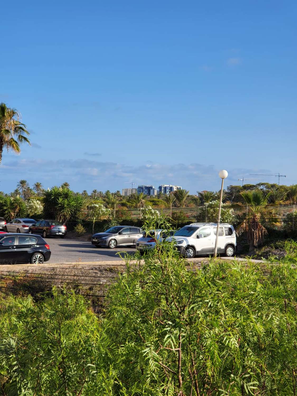 Wohnung in Torrevieja 200 m vom Meer entfernt