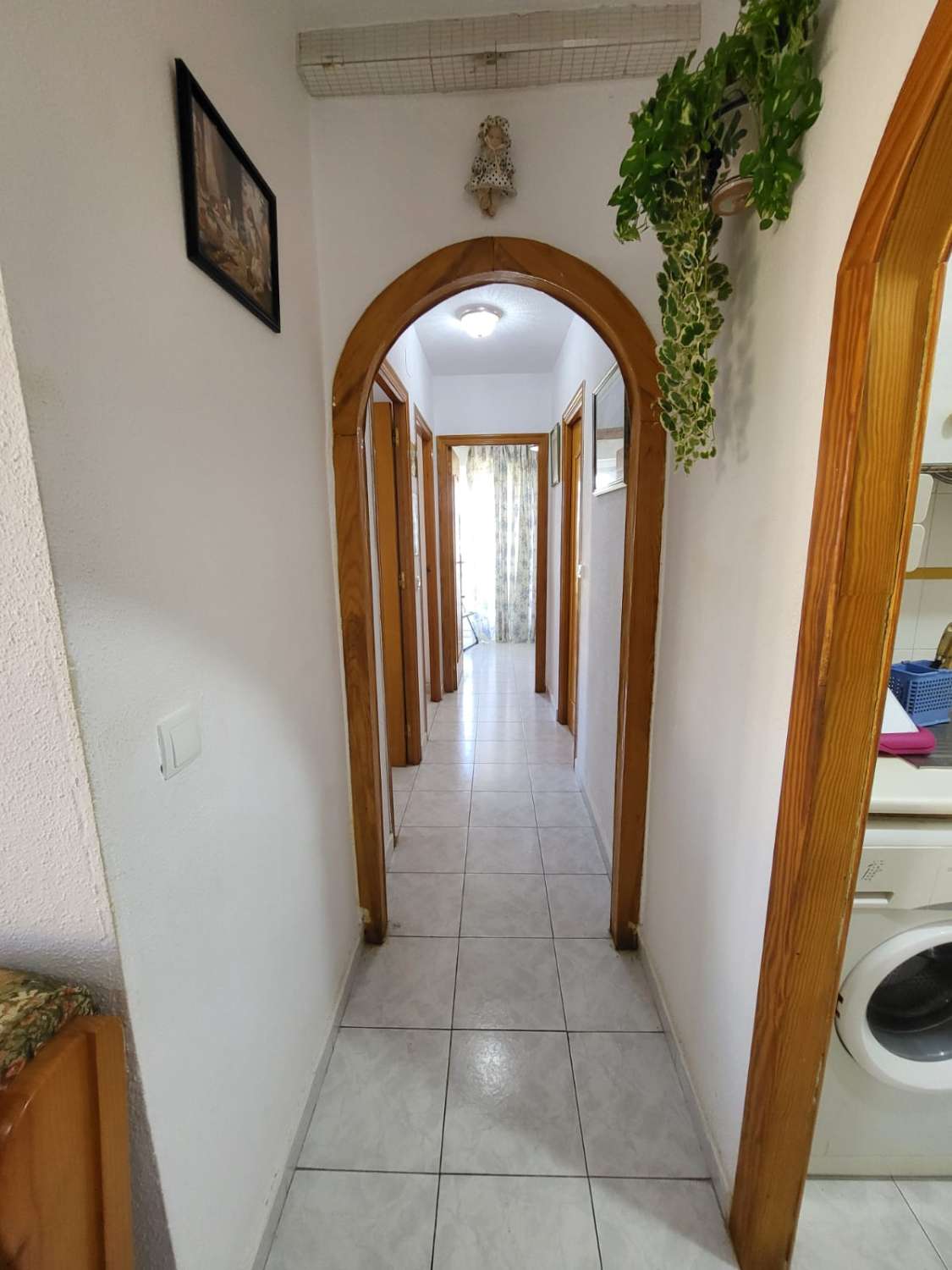 Wohnung in Torrevieja 200 m vom Meer entfernt